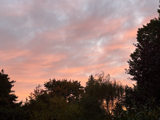 Oktobermorgen