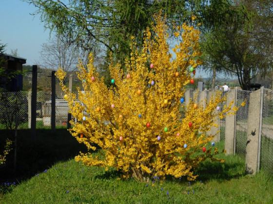 Frohe Ostergrüße