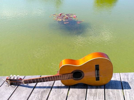 Gitarre mit Seerosen - Finale Begegnung