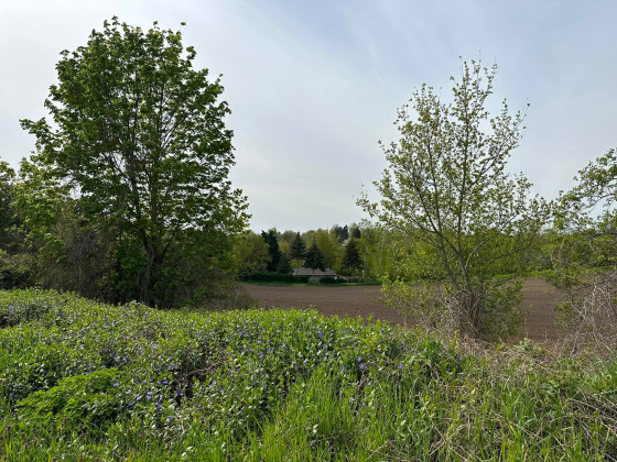 Der Weg zum 10 Km Paketshop in Angersdorf, teils über Wiesen und Felder, um ein Paket abzuholen.