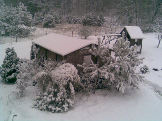 Winter 2010