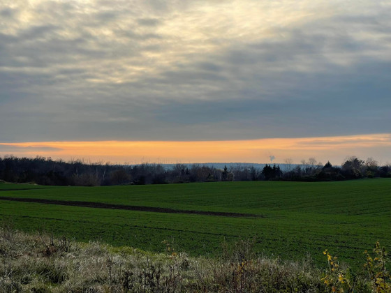 Ein sehr langer 4 ¹/² stündiger Novemberspaziergang 2021... 22 Km an einem Nachmittag