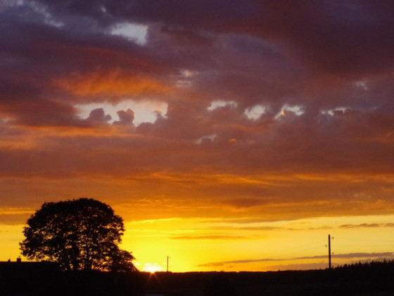 Abend...