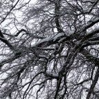 Weihnachten 2010