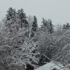 Schnee