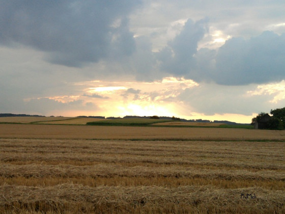 Sonnenuntergang in Geltendorf :)