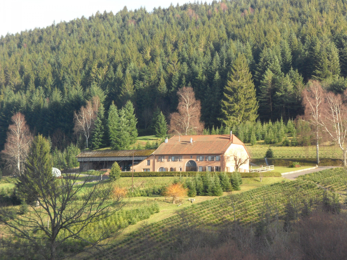 Farmhaus in den Vogesen