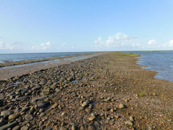 Ein Weg zwischen Ebbe und Flut