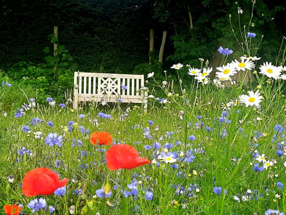 Sommer