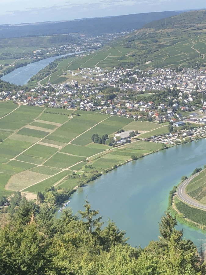 Die Mosel bei Pölich