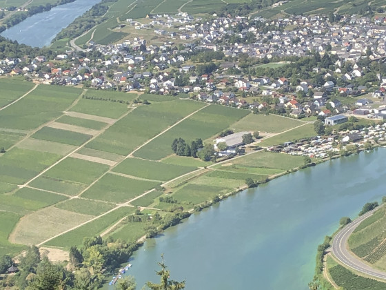 Die Mosel bei Pölich