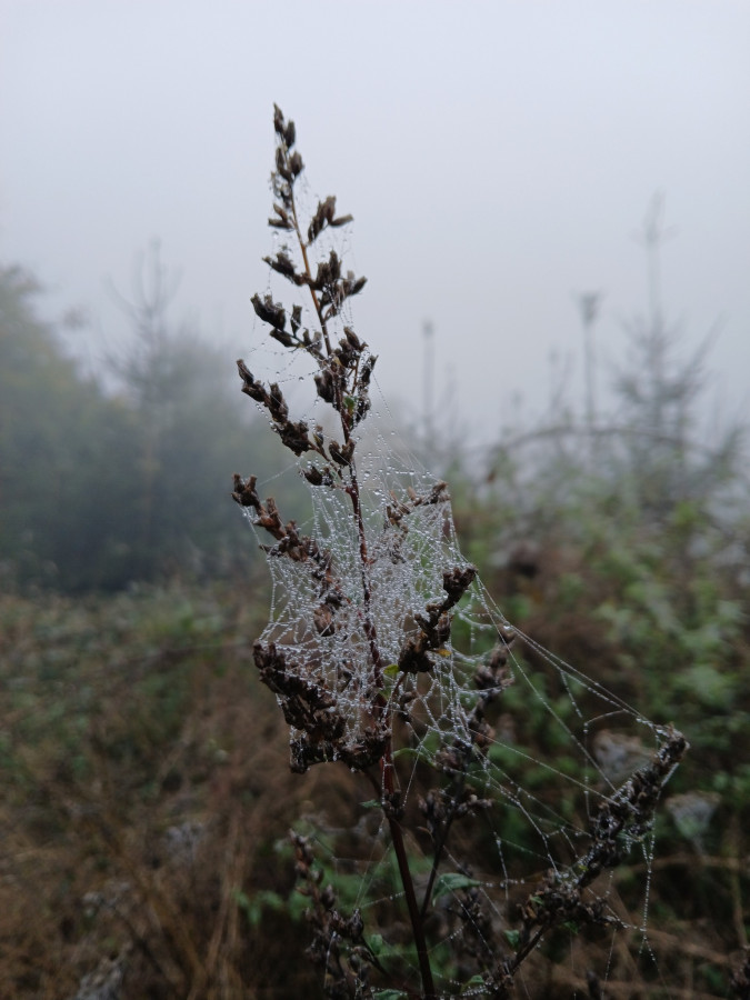 Neulich im Wald
