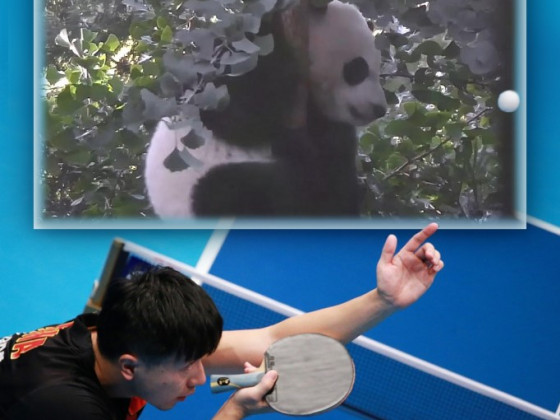 bei bei