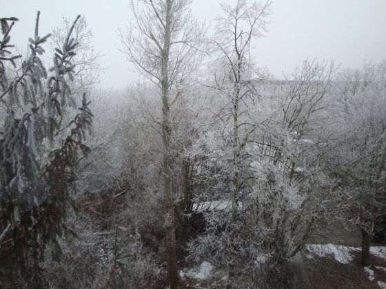 22.Januar 2017 Blick aus dem Fenster bei Muttern