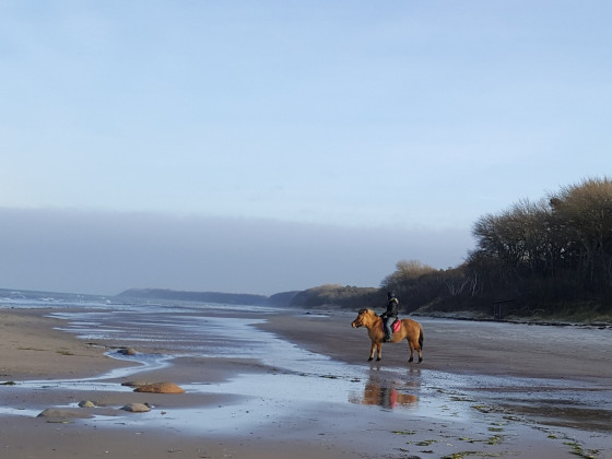 Rügen - Nordstrand