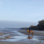 Rügen - Nordstrand