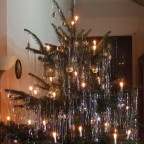 baum_ganz1
