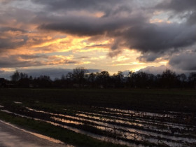 Sturm über Ostfriesland