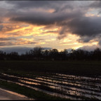 Sturm über Ostfriesland