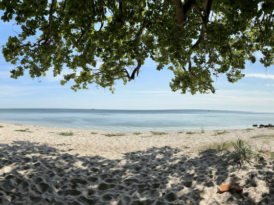 Am Meer