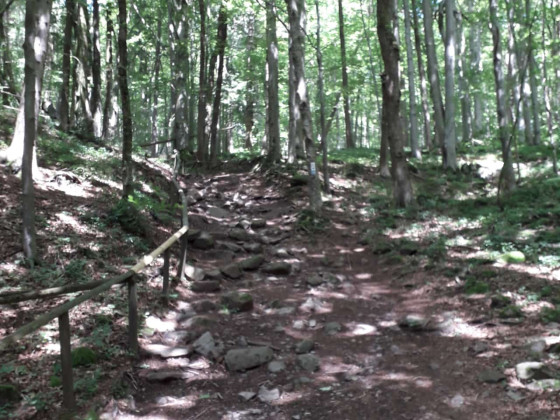 Wasserkuppe