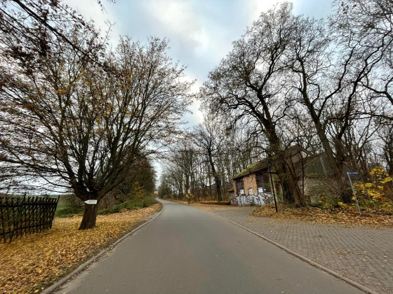 Ein sehr langer 4 ¹/² stündiger Novemberspaziergang 2021... 22 Km an einem Nachmittag