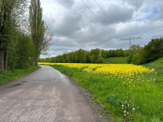 Der Weg zum 10 Km Paketshop in Angersdorf, teils über Wiesen und Felder, um ein Paket abzuholen.