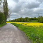 Der Weg zum 10 Km Paketshop in Angersdorf, teils über Wiesen und Felder, um ein Paket abzuholen.