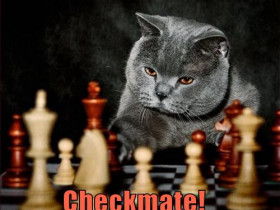 Checkmate