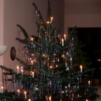 baum_ganz