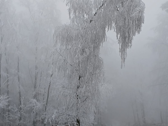 Silvesterwanderung