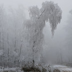 Silvesterwanderung