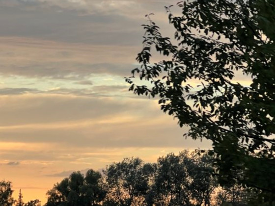 Abendstimmung