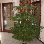 Unser etwas eigenwilliger Weihnachtsbaum