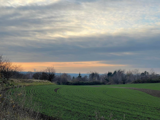 Ein sehr langer 4 ¹/² stündiger Novemberspaziergang 2021... 22 Km an einem Nachmittag