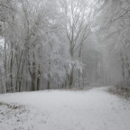 Silvesterwanderung